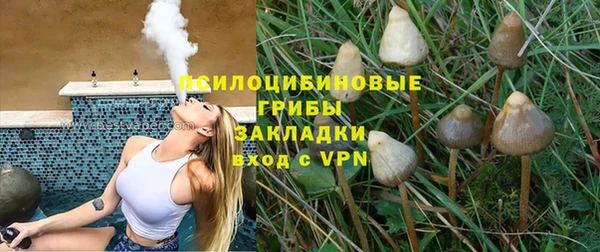 spice Балабаново