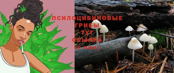 кокс Баксан