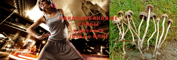 кокс Баксан