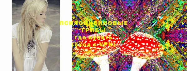 кокс Баксан