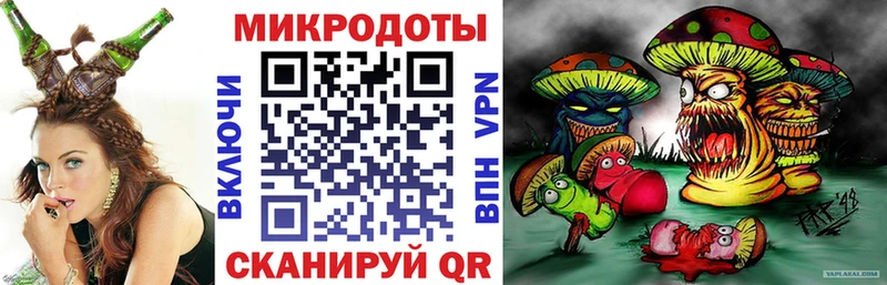 цена наркотик  Соль-Илецк  Псилоцибиновые грибы Psilocybe 